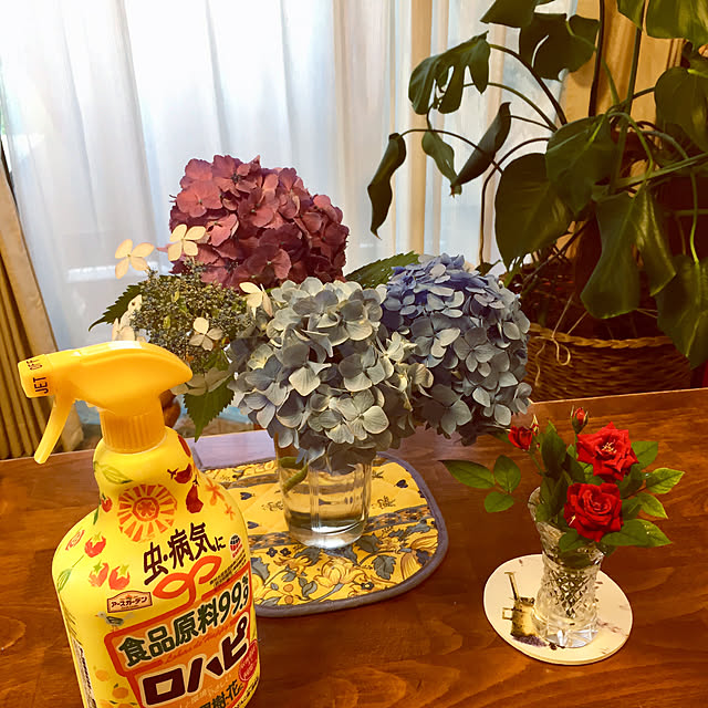 emichanbooさんの実例写真