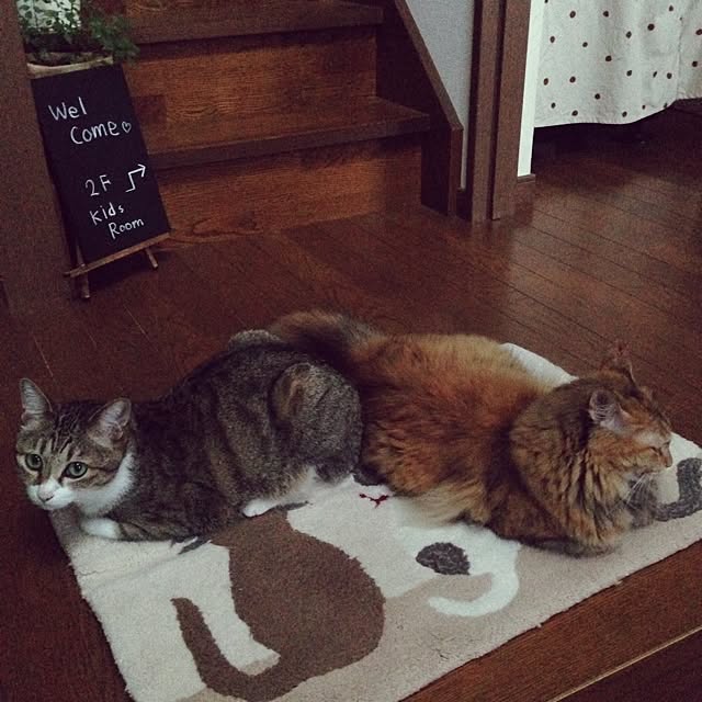 kayocoさんの実例写真