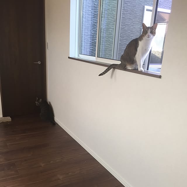 ベッド周りのインテリア実例 - 2016-07-29 13:08:10