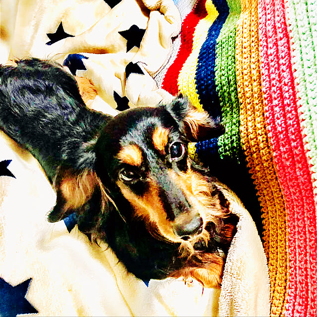 hanako0345さんの実例写真