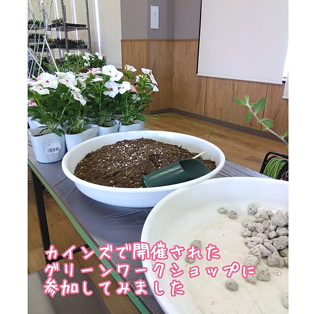 aquaさんの実例写真