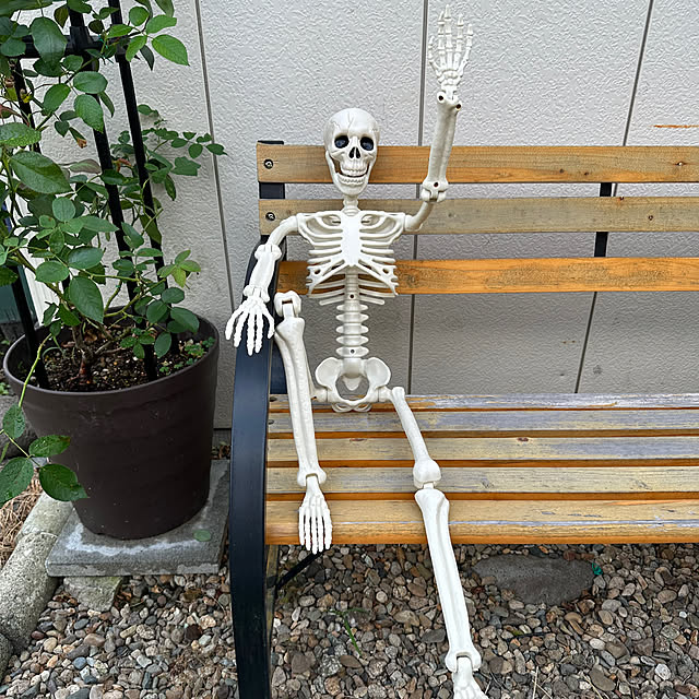 ryannicolas41さんの実例写真