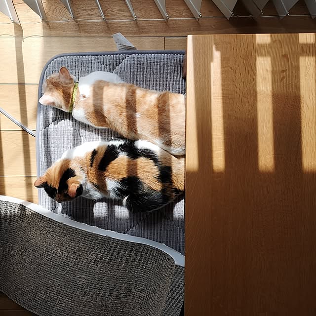koyurizuさんの部屋