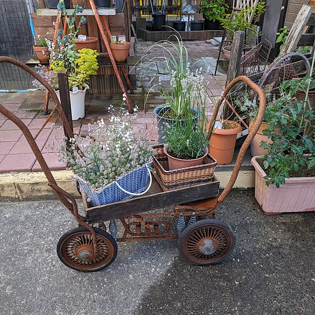 tikuwaさんの実例写真