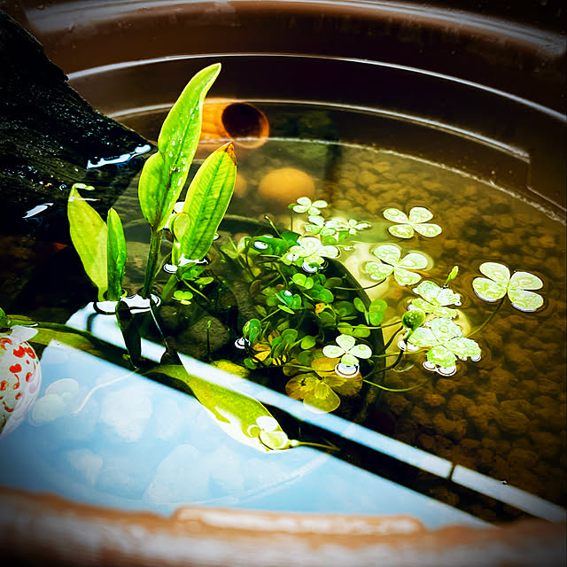 haln_clipさんの実例写真