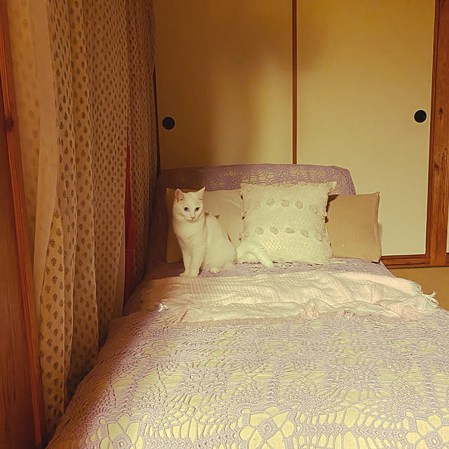 nikopokoさんの実例写真