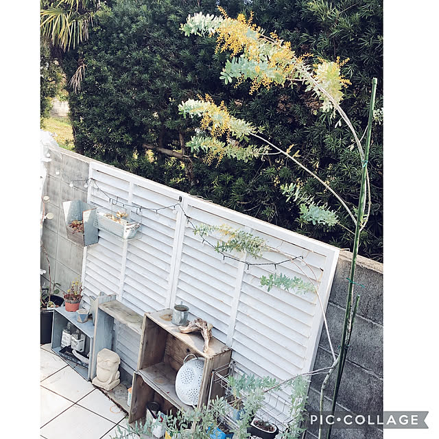 craneさんの実例写真