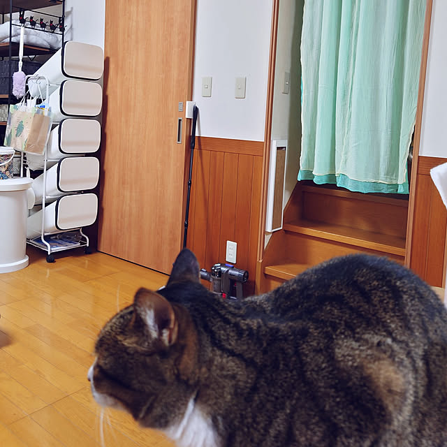 nachiさんの実例写真