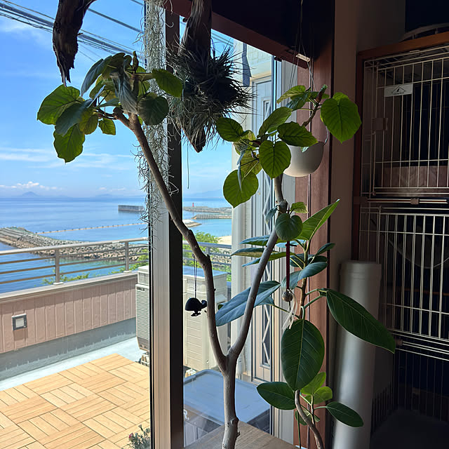 noraさんの部屋