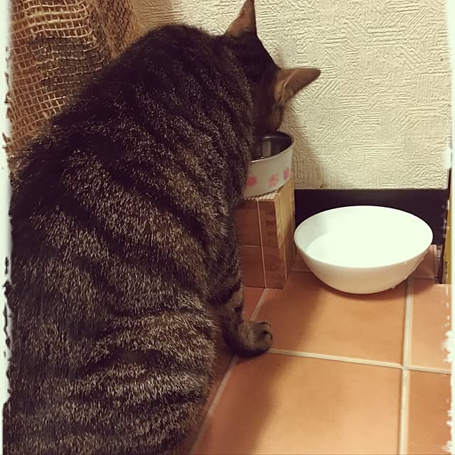 shigimiさんの実例写真