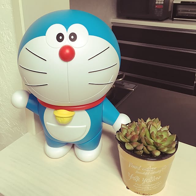 noconocoさんの実例写真