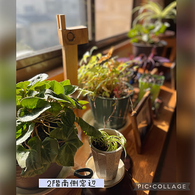 buchiさんの実例写真