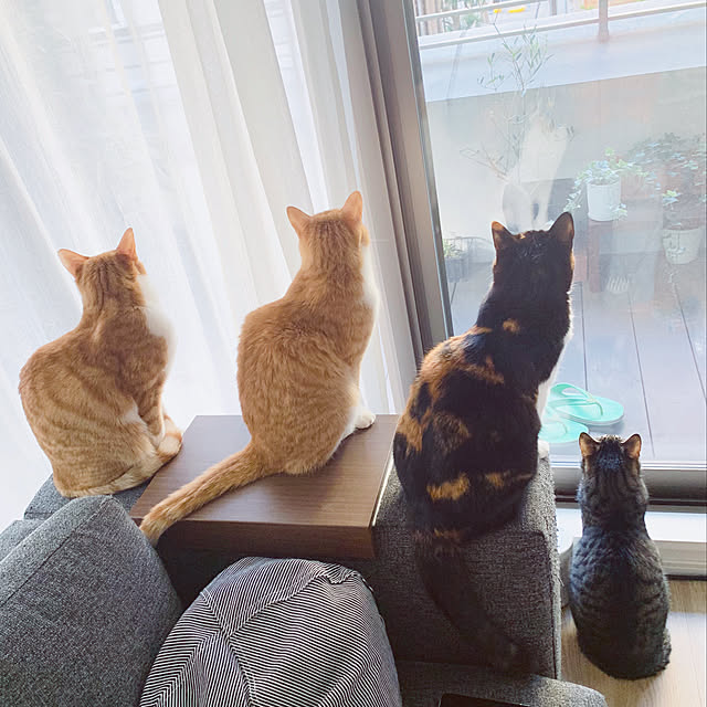 Boniさんの実例写真