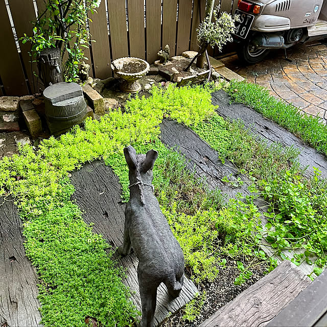 tabasaさんの実例写真
