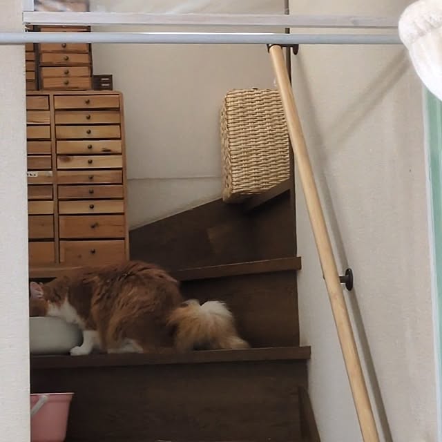mori_6_12さんの実例写真
