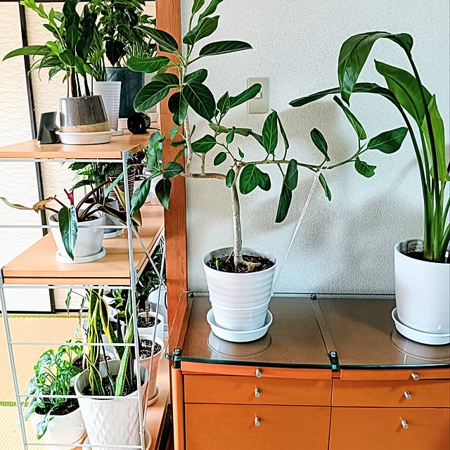 hanachanさんの部屋