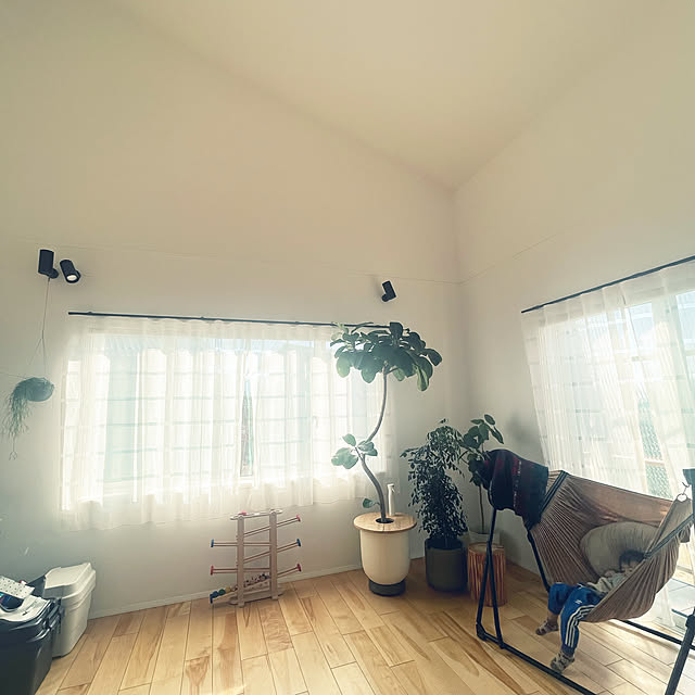 ayさんの実例写真