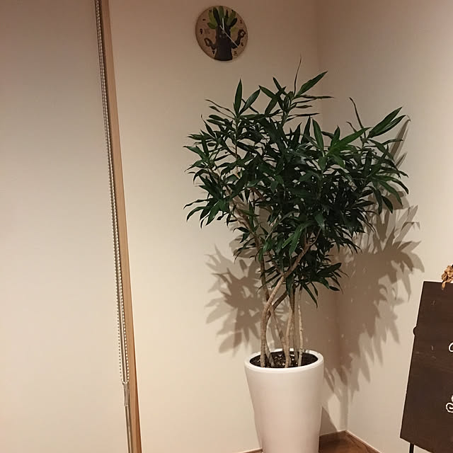 KCFSARさんの実例写真