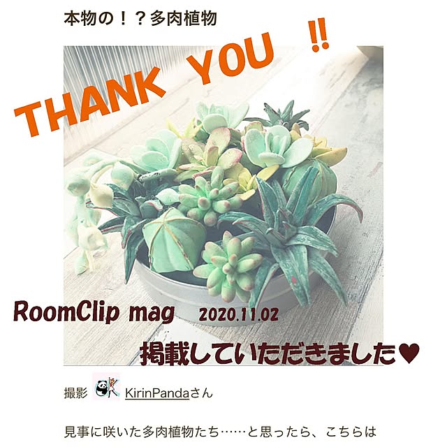 KirinPandaさんの実例写真
