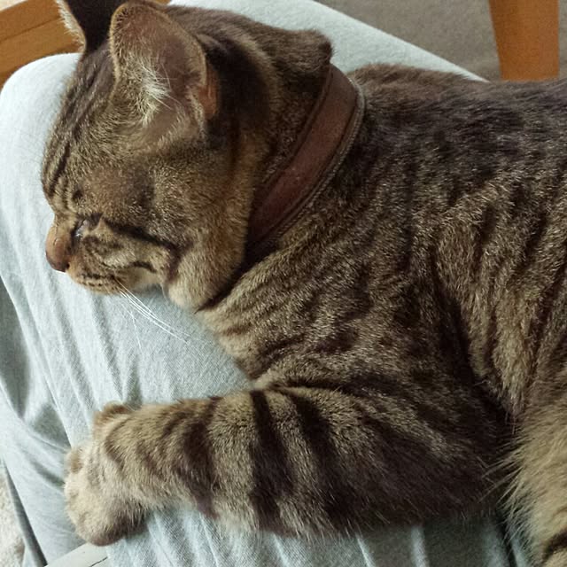 megkeiさんの実例写真