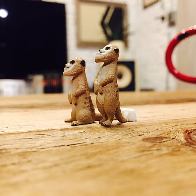 aanaokiさんの実例写真