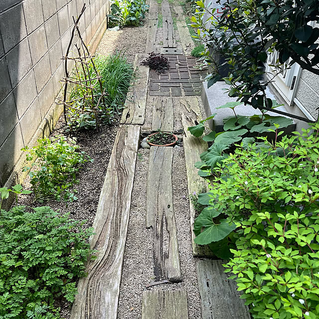 kuuさんの実例写真