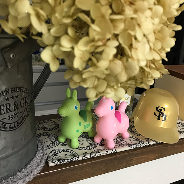 Nicoleさんの実例写真