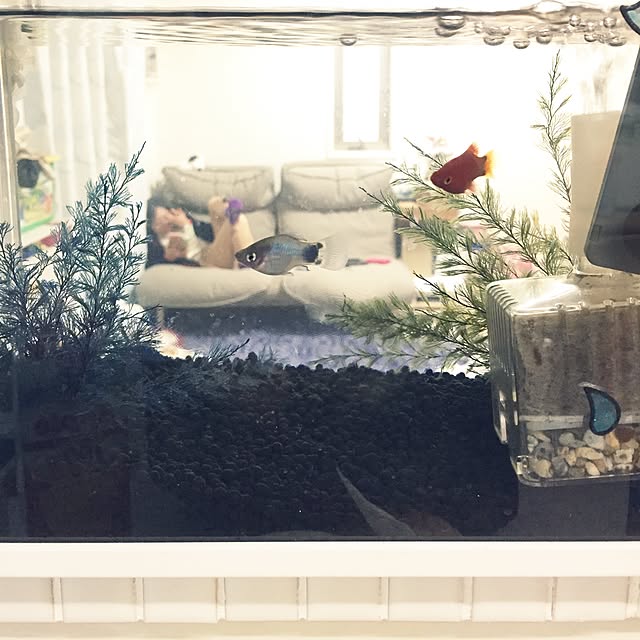 382さんの実例写真