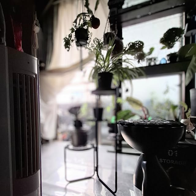 noaさんの部屋