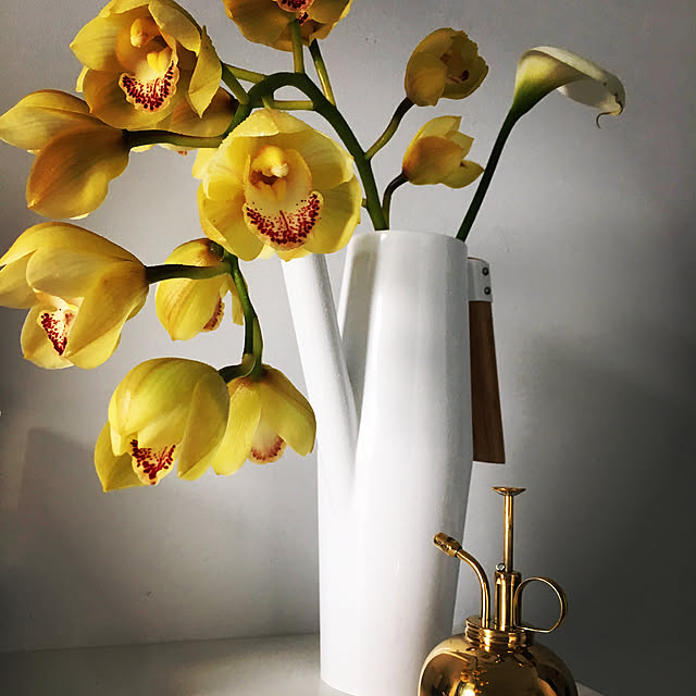 机/Orchids/北欧/ナチュラル/IKEA...などのインテリア実例 - 2018-10-14 22:09:41