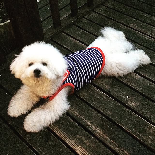 happy_bridgeさんの実例写真