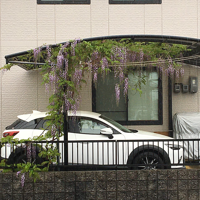 kirakirahoshiさんの実例写真