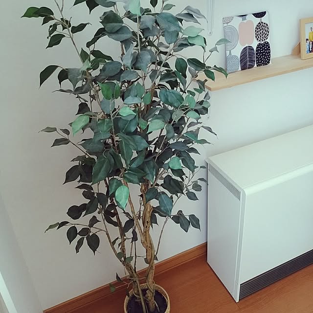 hiromiさんの実例写真