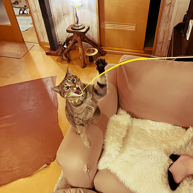 Mさんの部屋