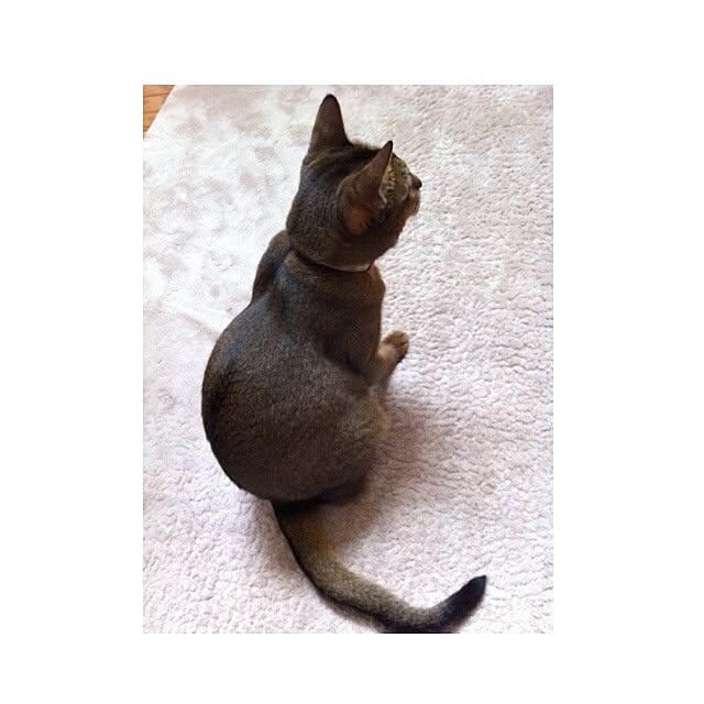 Kanonさんの実例写真