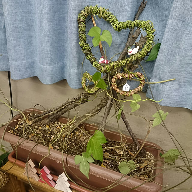 mie.tmrさんの実例写真