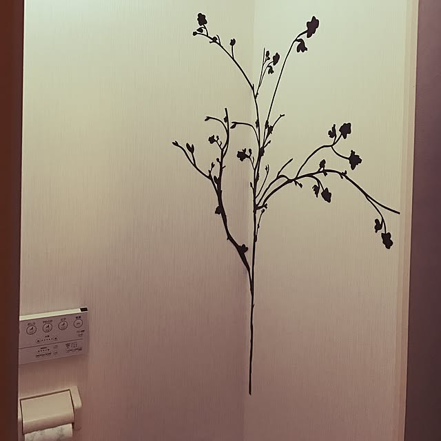 Renaさんの実例写真