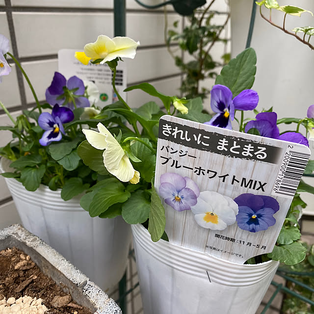 YuuKoさんの実例写真