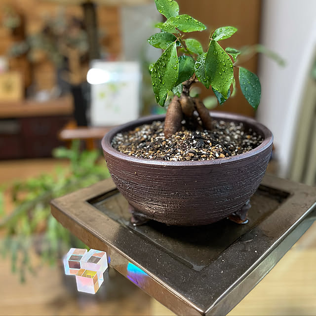 buchiさんの実例写真