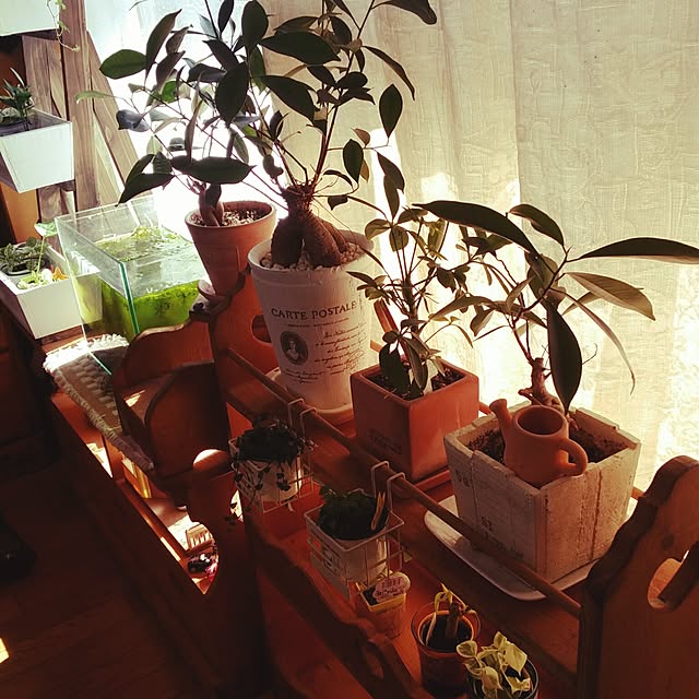 DayRee.さんの実例写真
