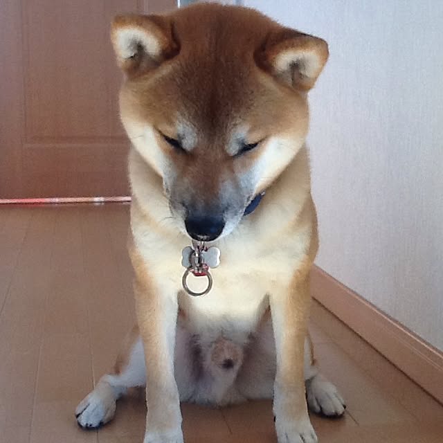 kotaさんの実例写真