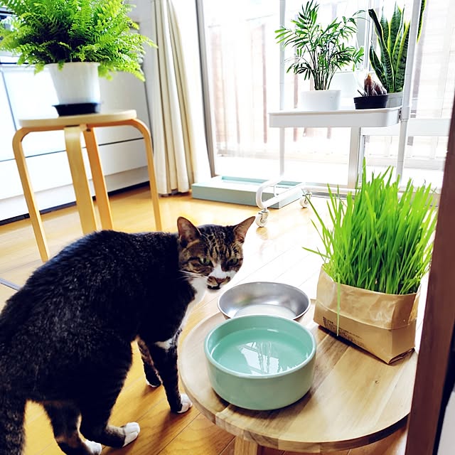 nachiさんの部屋