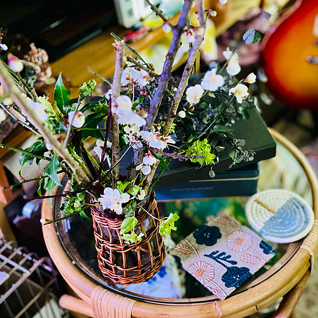 parrotさんの実例写真