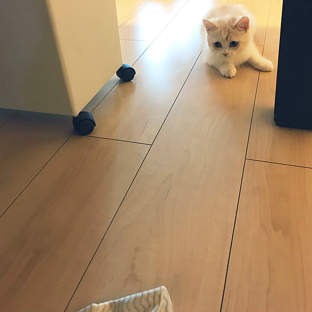 H.Tさんの実例写真