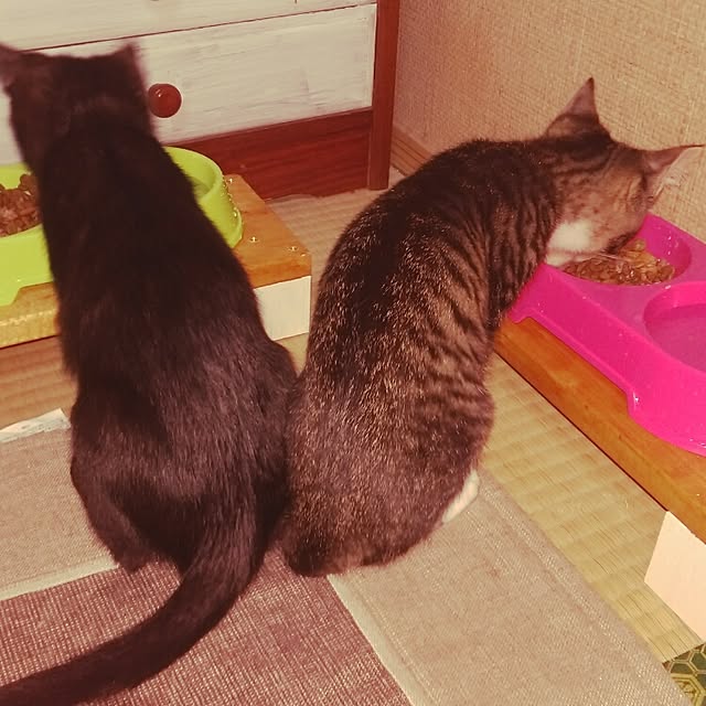 OKANさんの実例写真
