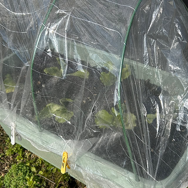 ritsukoさんの部屋