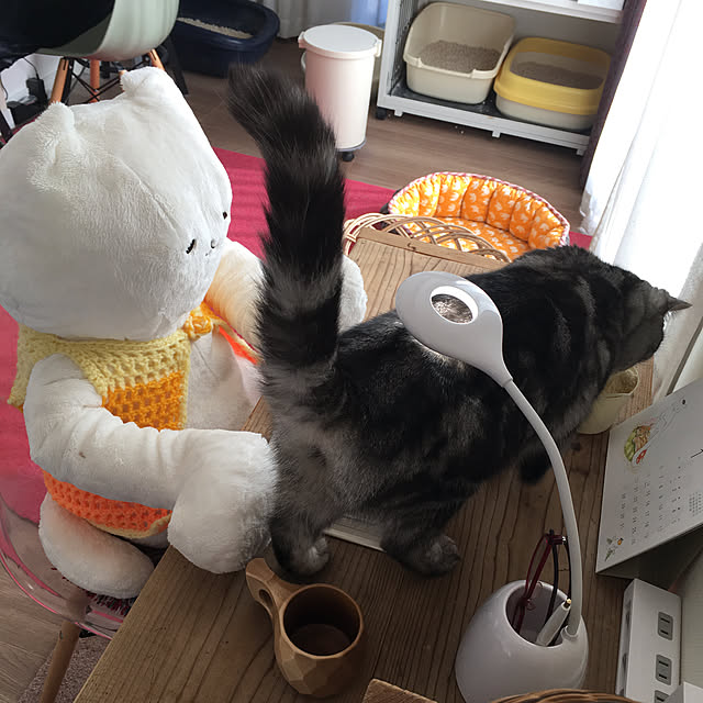 mikomaruさんの実例写真