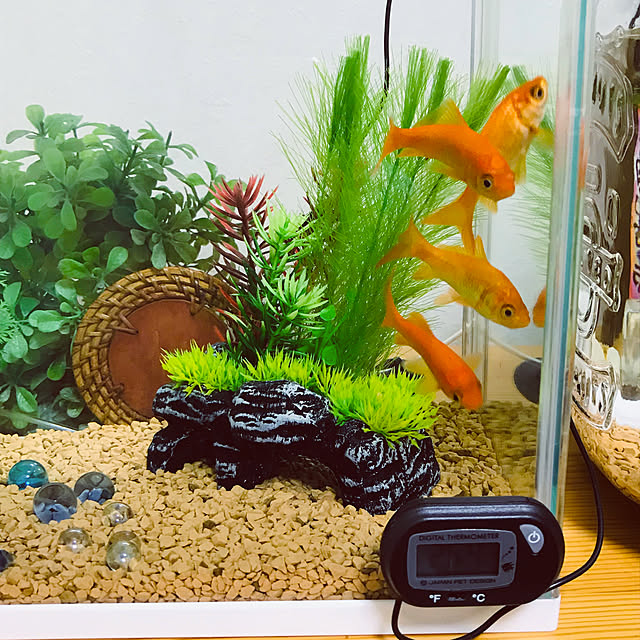 himawari2さんの実例写真