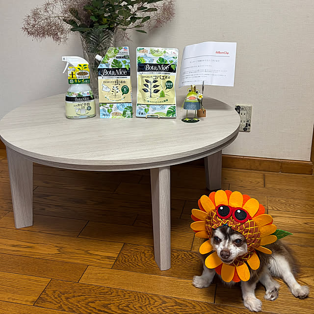 chIoeさんの部屋