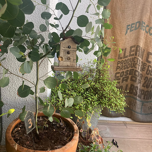izumiさんの部屋